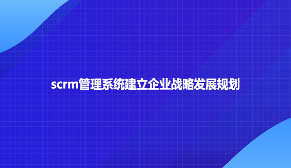 scrm管理系统建立企业战略发展规划