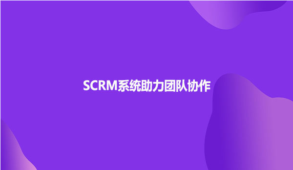 SCRM系统助力团队协作