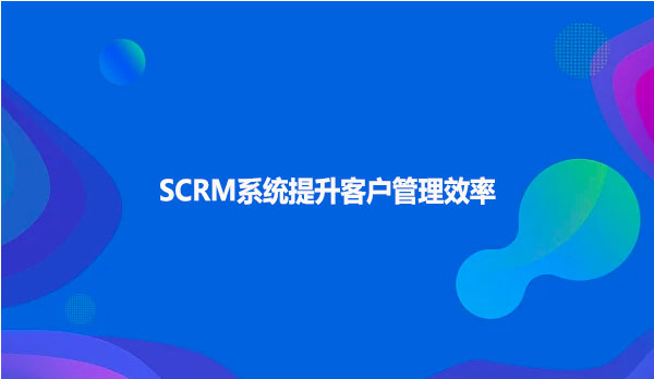 SCRM系统提升客户管理效率