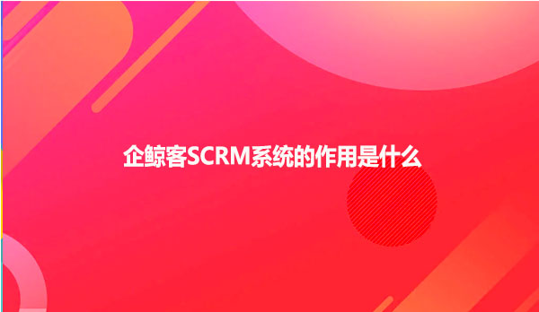 企鲸客SCRM系统的作用是什么