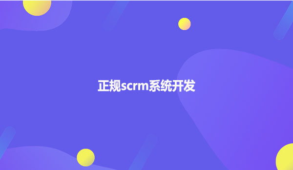 正规scrm系统开发